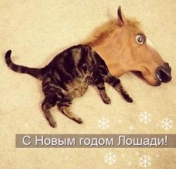 post-51043-0-94701500-1388589154_thumb.j