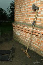 post-30974-0-67147000-1424166659_thumb.j