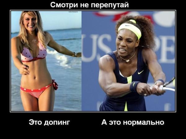 Sharapova.jpg