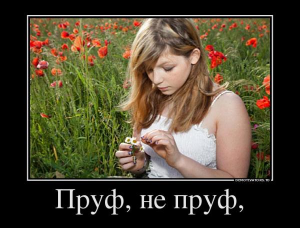 772373_pruf-ne-pruf_demotivators_to.jpg