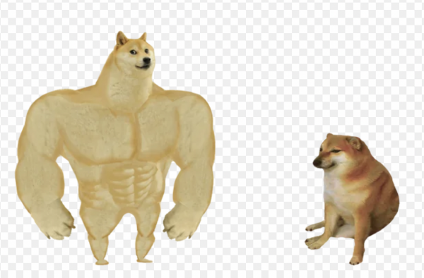 image.thumb.png.e8a28f058fc581834297438c89d5df92.png