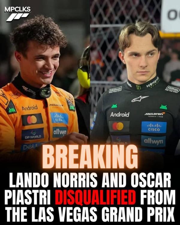 photo_2025-11-23 11.22.36.jpeg