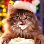 Сергей Владимирович